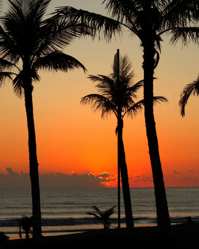 Comment organiser un mariage avec une touche tropicale