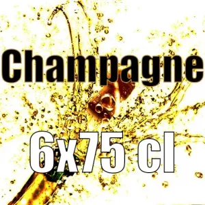 Champagne 6×75 cl
