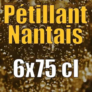 Pétillant Nantais 6×75 cl