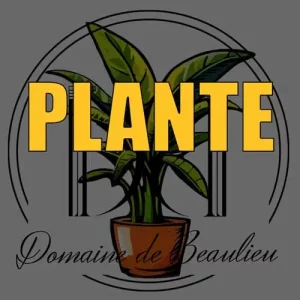 Location Plante