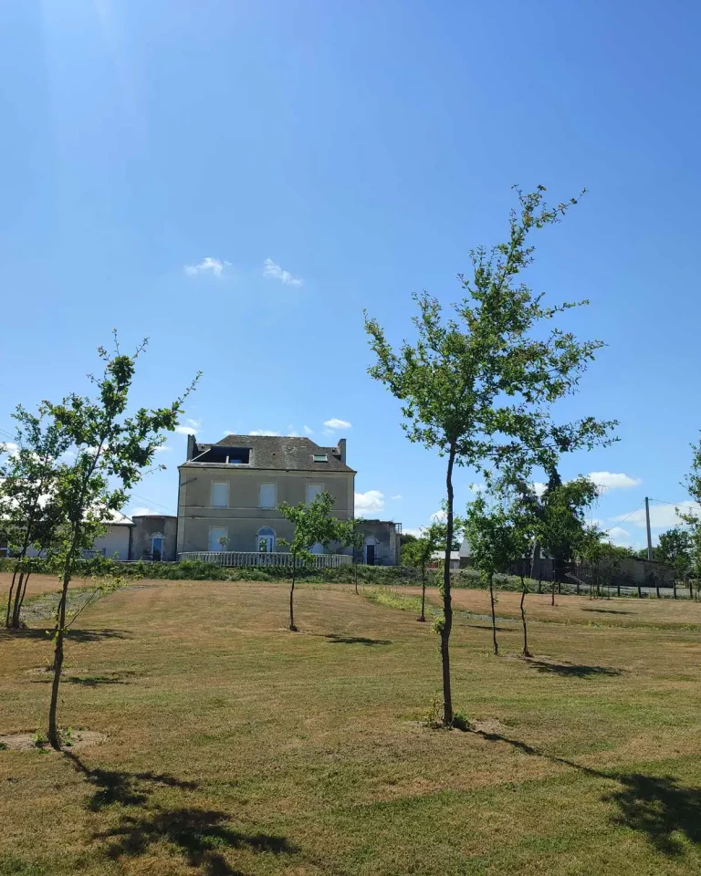 Comment-organiser-un-mariage-inoubliable-dans-un-domaine d'exception