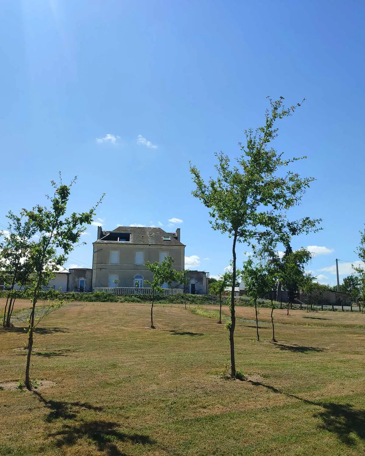 Comment-organiser-un-mariage-inoubliable-dans-un-domaine d'exception