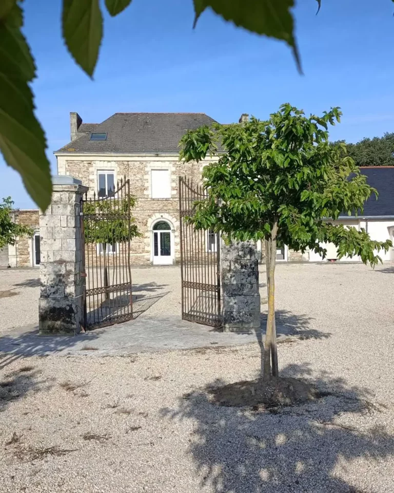 Les-10-conseils-indispensables-pour-choisir-la-salle-de-mariage-parfaite