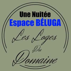 Nuitée Espace Béluga – Les loges du Domaine