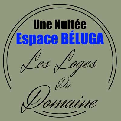 Nuitée Espace Beluga Loges du Domaine